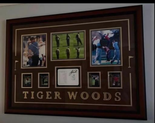 Buy & Sell Lindholme Doncaster - Photos for Tiger Woods picture