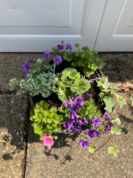 Buy & Sell Stirchley Birmingham - Photos for Baskets