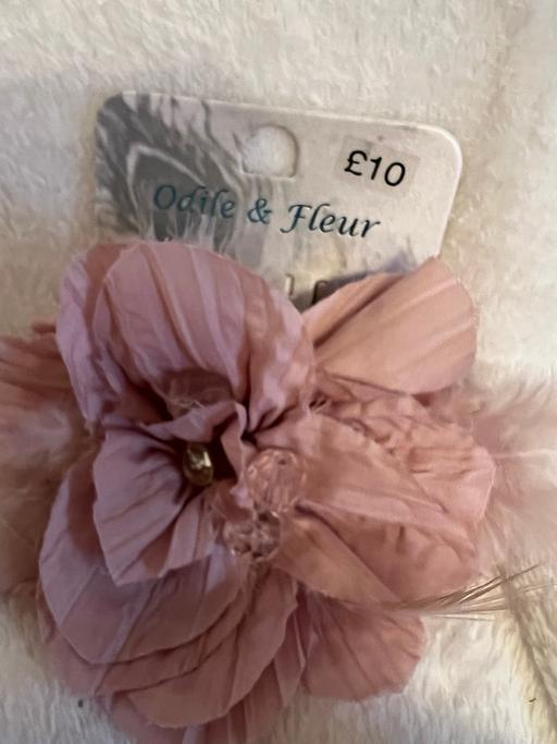 Buy & Sell Easington Lane Sunderland - Photos for Flower Brooche ( New )