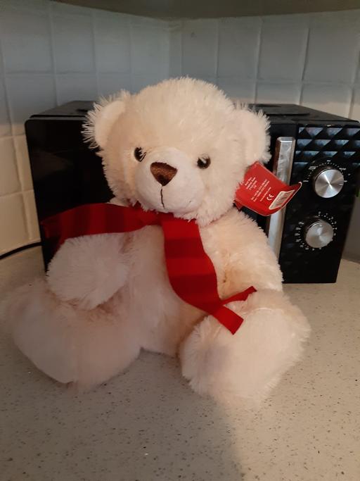 Buy & Sell South Hylton Sunderland - Photos for bargain ted