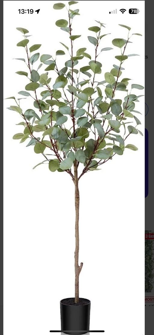 Buy & Sell Dudley Port Sandwell - Photos for 180cm Eucalyptus Artificial Tree Green