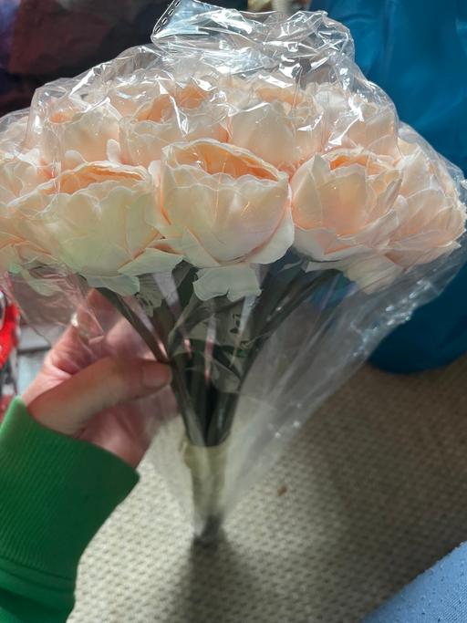 Buy & Sell Wednesfield Wolverhampton - Photos for 18 roses new