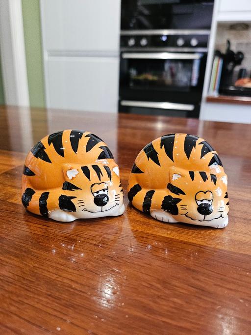 Buy & Sell Bradmore Wolverhampton - Photos for NEW Salt & Pepper pots CATS