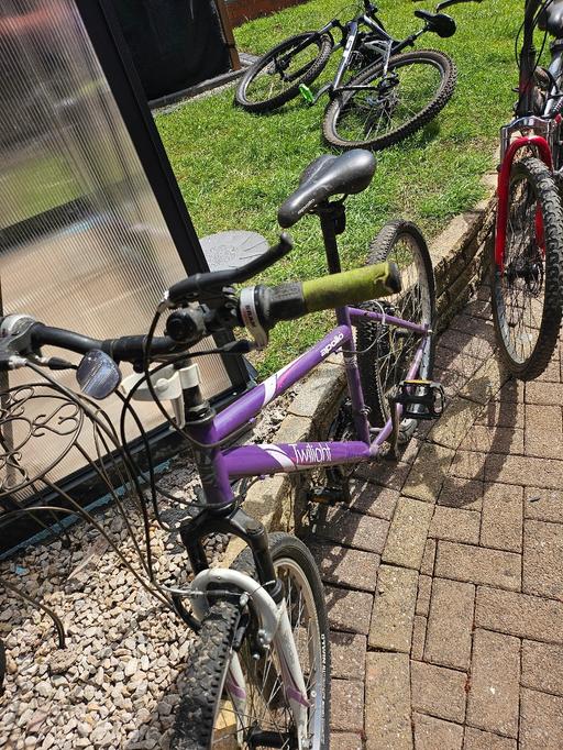Buy & Sell Cradley Heath Sandwell - Photos for bike womans