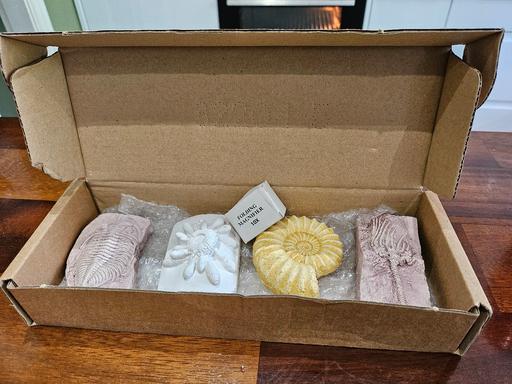 Buy & Sell Merry Hill Wolverhampton - Photos for Fossils kit with magnifier 🔍