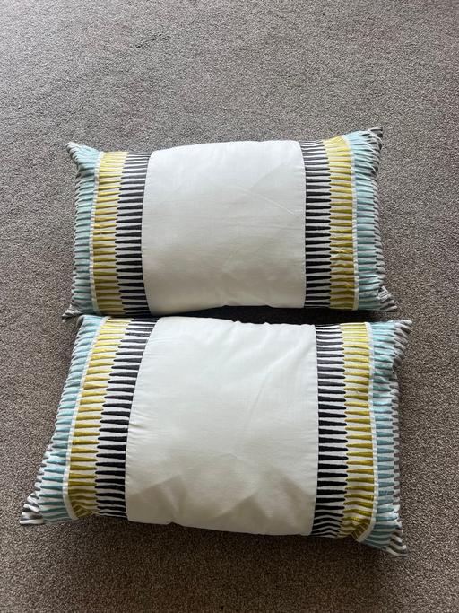 Buy & Sell Bournville Birmingham - Photos for 2 x rectangular scatter cushions cream