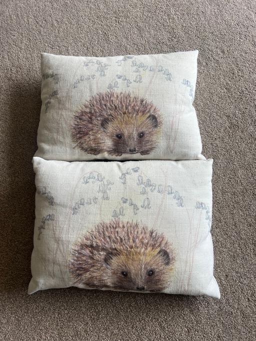 Buy & Sell Bournville Birmingham - Photos for 2 x hedgehog scatter cushions
