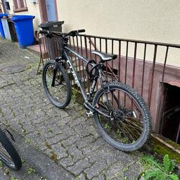 fahrradtasche basil Basil Ever Green Doppelte umweltfreundliche Fahrradtasche auf  Heckgepäckträger