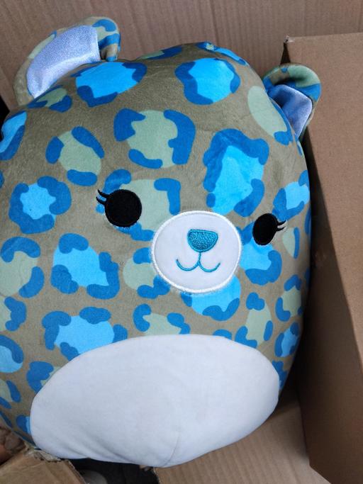 Buy & Sell Fordhouses Wolverhampton - Photos for squishmallowd Enos