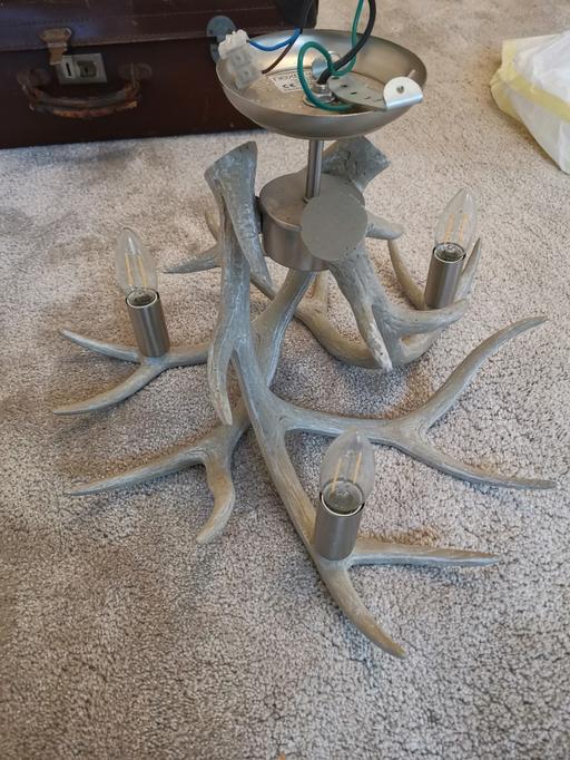 Buy & Sell Ilkley Bradford - Photos for Next Stag light fitting