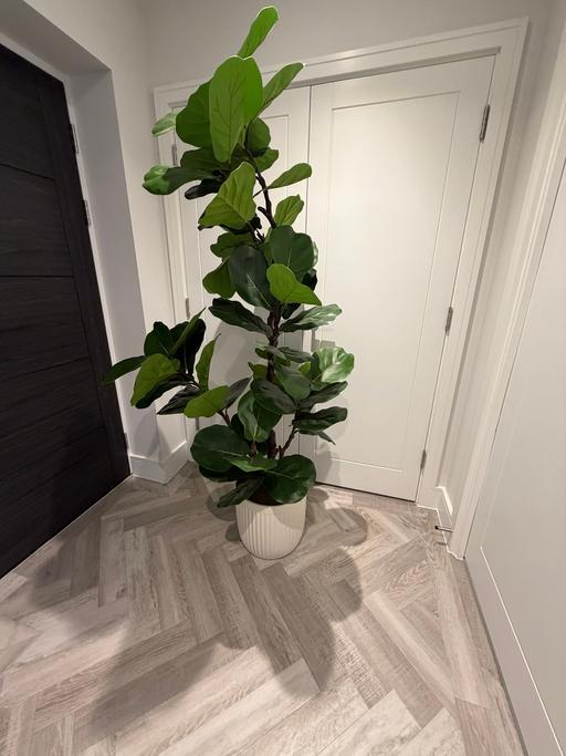 Buy & Sell Enfield North London - Photos for Artificial plant