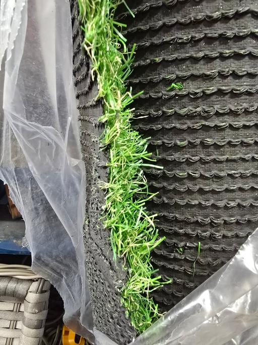 Buy & Sell Oldbury Sandwell - Photos for 3x2 roll of artificial grass