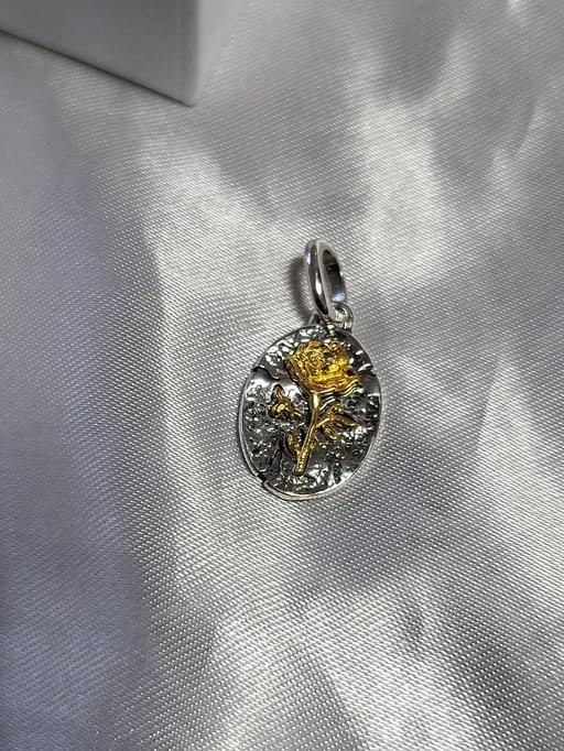 Buy & Sell Healey Rochdale - Photos for Pandora ME Rose Medallion Charm in sterling s