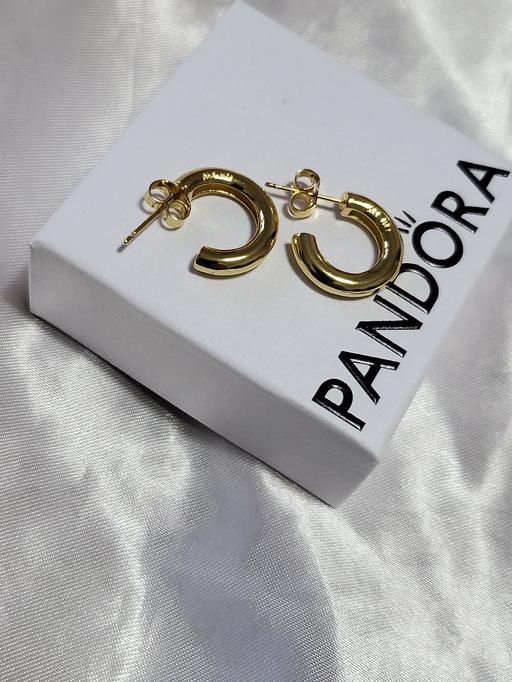 Buy & Sell Healey Rochdale - Photos for Pandora 14k gold-plated round open hoop earri
