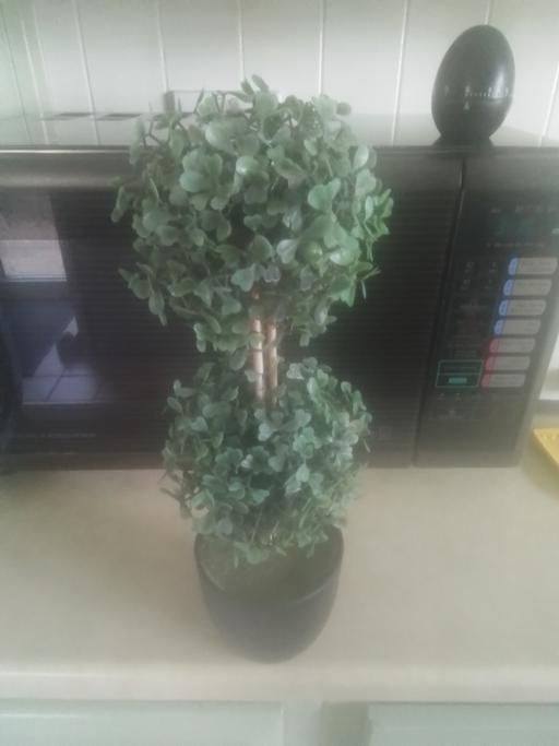 Buy & Sell Aldridge Walsall - Photos for ARTIFICIAL PLANT IN BLACK POT