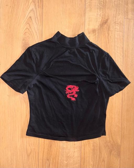 Buy & Sell Northampton West Northamptonshire - Photos for Dragon Crop Top