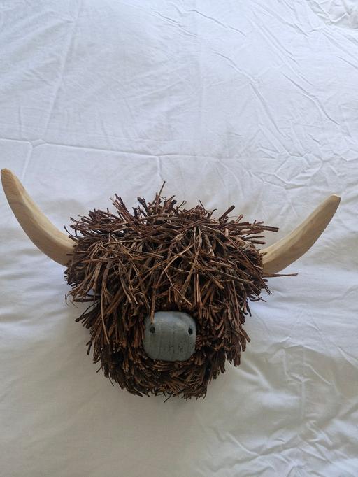 Buy & Sell Werrington Peterborough - Photos for BNWT Highland cow head