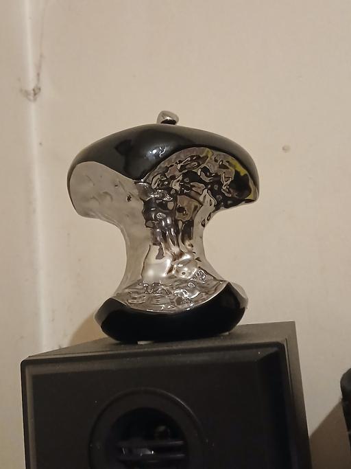 Buy & Sell Hainworth Bradford - Photos for A silver & black apple core ornament.