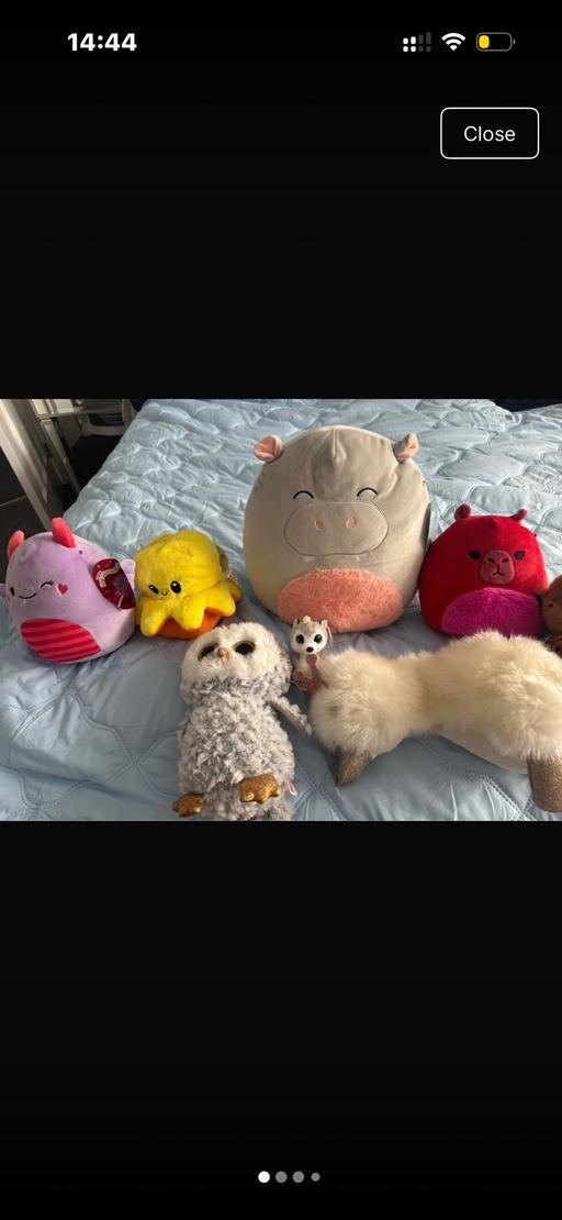 Buy & Sell Northfield Birmingham - Photos for soft toys