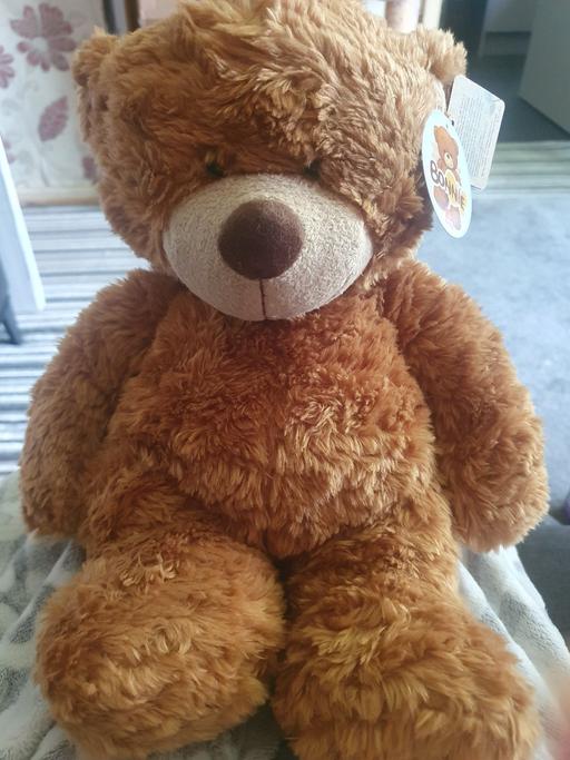  — Beautiful Soft Teddy Bear