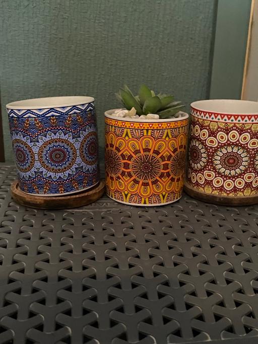 Buy & Sell Upper Gornal Dudley - Photos for 3 small succulent plant holders