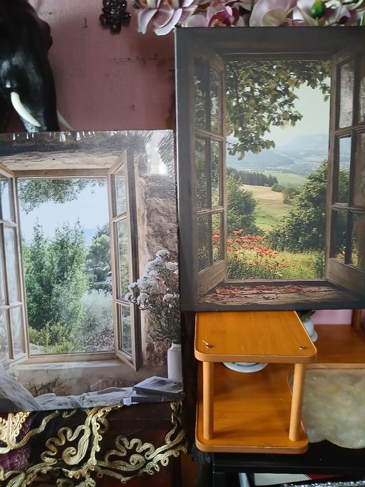 Buy & Sell Netherton Dudley - Photos for 2 canvases looking threw window