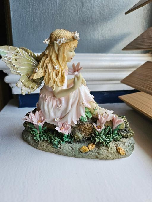 Buy & Sell Bradmore Wolverhampton - Photos for Collectable Fairies 🧚‍♀️