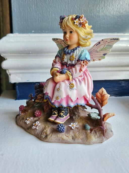 Buy & Sell Bradmore Wolverhampton - Photos for Collectable Fairies 🧚‍♂️ ✨️