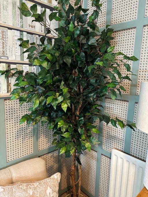 Buy & Sell Bartley Green Birmingham - Photos for 6 foot artificial ficus tree in basket