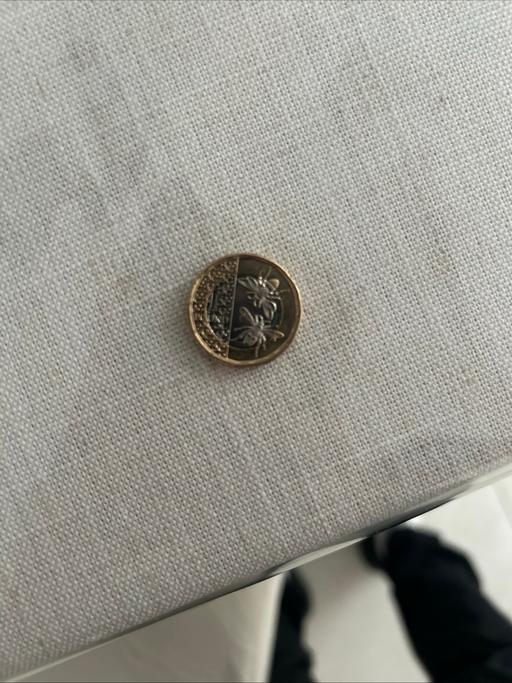  — King Charles 3rd 2025 £1 bumble bee coin