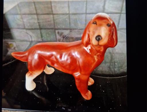 Buy & Sell Grassmoor North East Derbyshire - Photos for collectors item... dog
