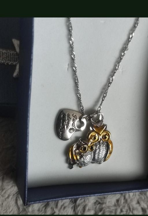 Buy & Sell Grafton Street Industrial Estate West Northamptonshire - Photos for New owl 🦉 necklace chain
