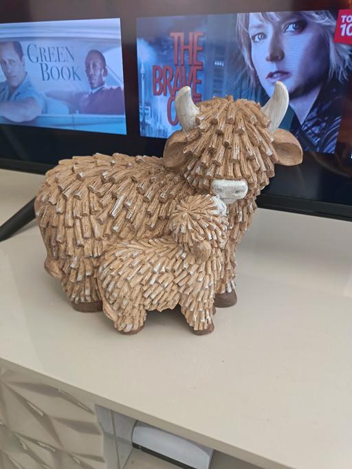 Buy & Sell Parkgate Rotherham - Photos for highland cow