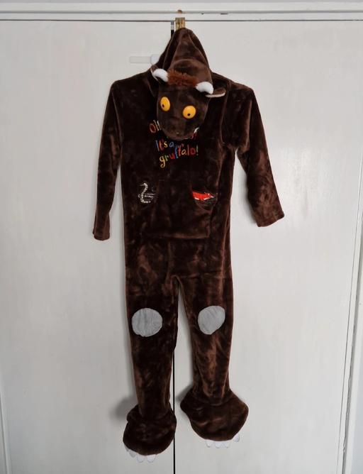  — Gruffalo fancy dress costume