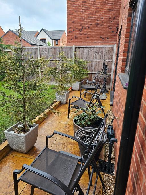 Buy & Sell Whittington Lichfield - Photos for Leylandii Tree 🌳 in Classy pot