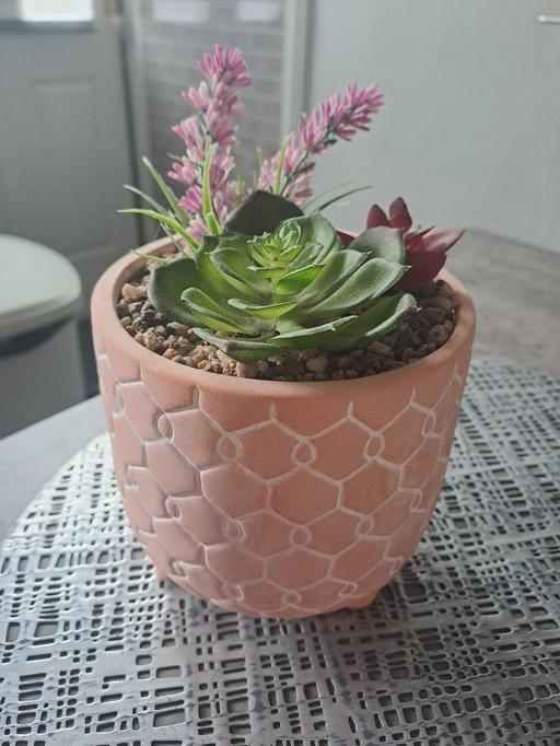 Buy & Sell Gleadless Valley Sheffield - Photos for artificial plant 🪴