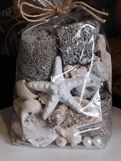 further learning Cusworth Doncaster - Photos for mixed bag of shells etc.