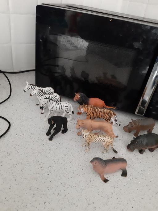Buy & Sell South Hylton Sunderland - Photos for animals