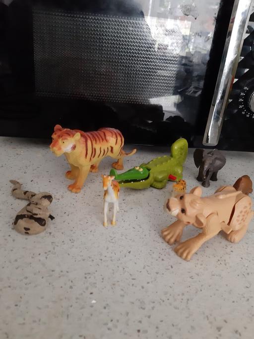 Buy & Sell South Hylton Sunderland - Photos for animals