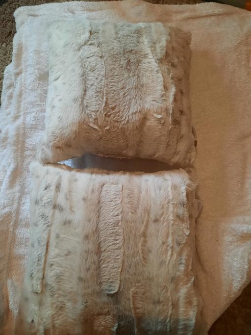 Buy & Sell Leagrave Luton - Photos for 2 small cushions