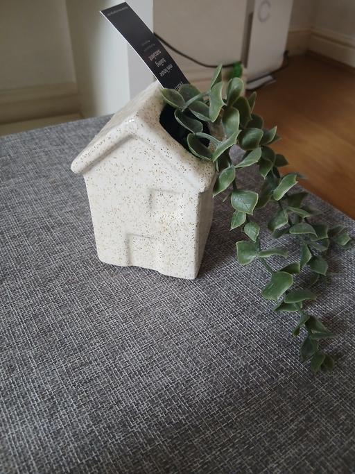 Buy & Sell Radcliffe Bury - Photos for Artificial Plant New