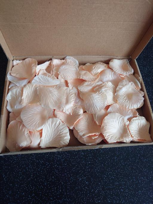 further learning Woodthorpe Charnwood - Photos for Fabric peach rose petals arts and craft