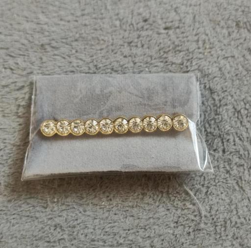  — New beautiful brooch