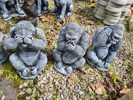 Buy & Sell Moseley Birmingham - Photos for Three Wise Gorillas