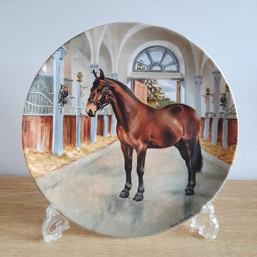 Buy & Sell Preston South Ribble - Photos for COLLECTOR'S DISPLAY PLATE