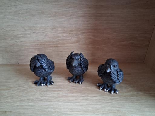 Buy & Sell Woodgate Birmingham - Photos for Nemesis Now Three Wise Ravens, Black, 8.7cm