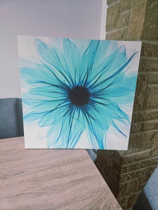 Buy & Sell Newton Doncaster - Photos for Wall mountable flower picture 22 x 22