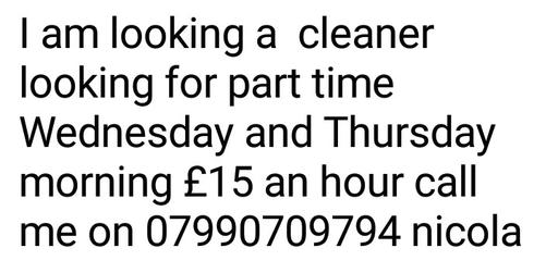  — cleaner
