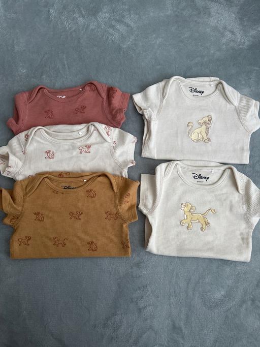  — Lion king vest