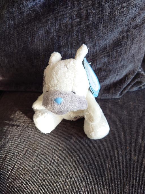  — Blue nose wrinkles soft toy